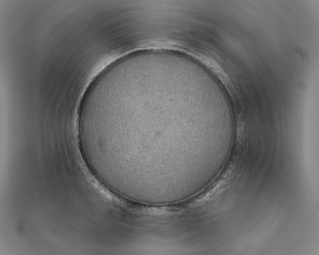 X0000111510990200908041219