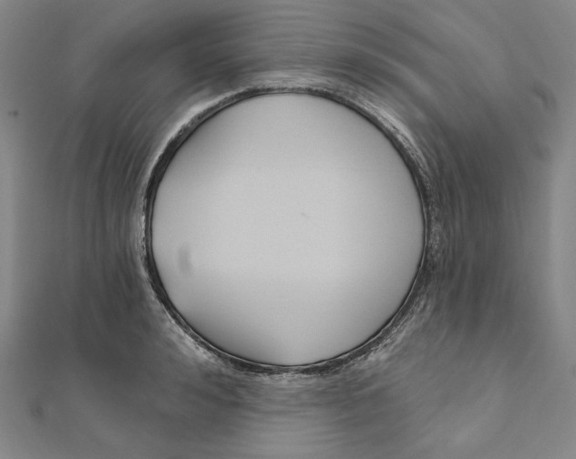 X0000111510992200908041219