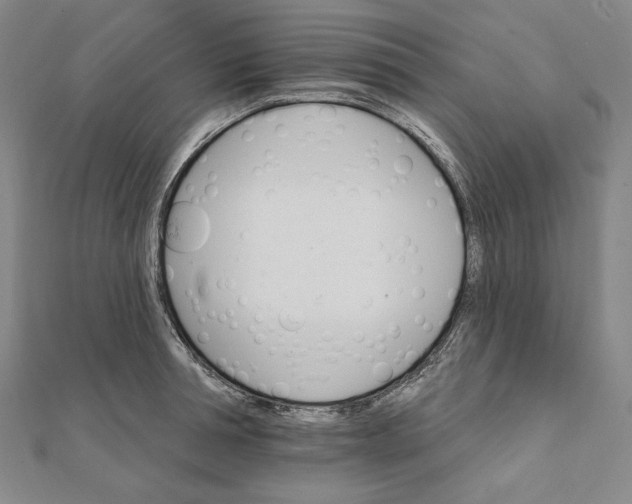 X0000111510994200908041219