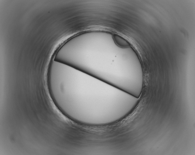 X0000111510995200908041219