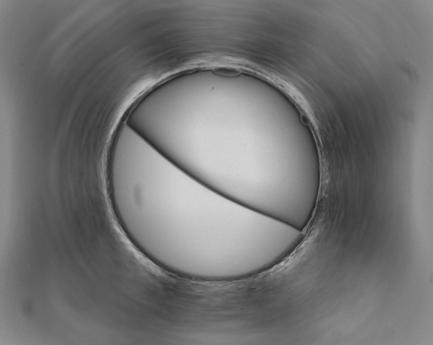 X0000111510997200908041219