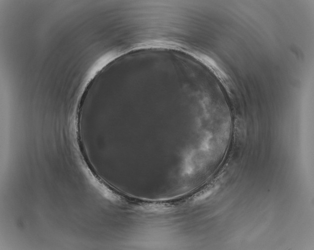 X0000111510998200908041219