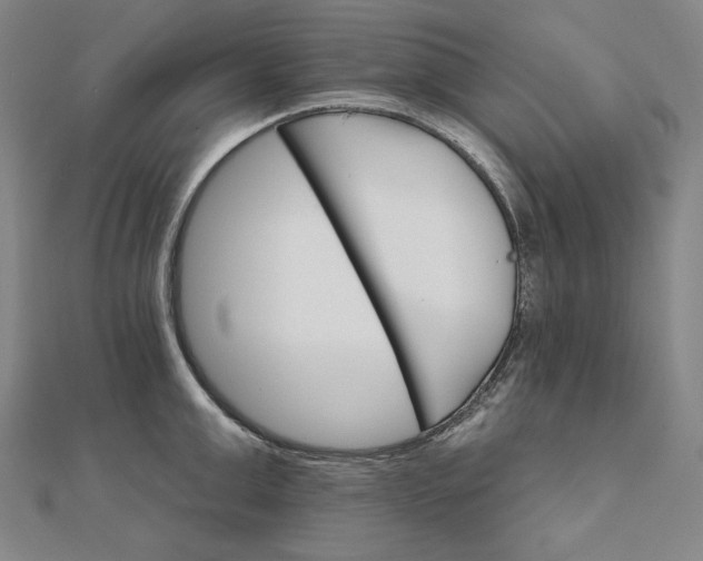 X0000111510999200908041219