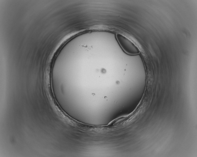 X0000111511000200908041219