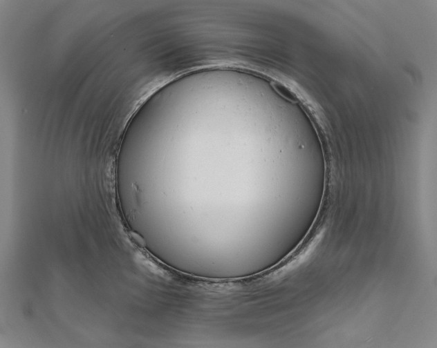 X0000111511001200908041219