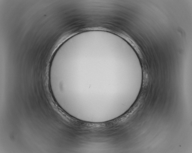 X0000111511002200908041219