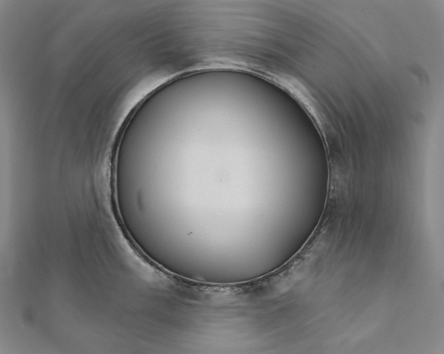 X0000111511003200908041219