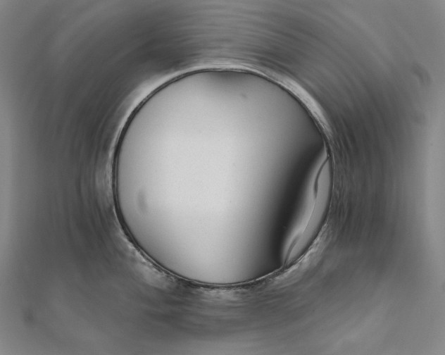 X0000111511004200908041219