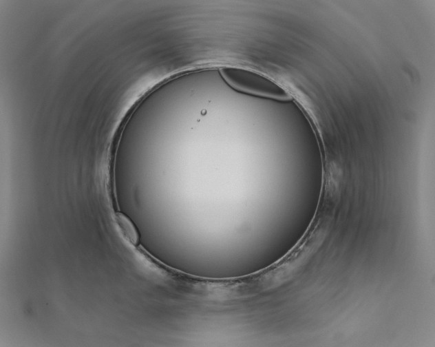 X0000111511005200908041219