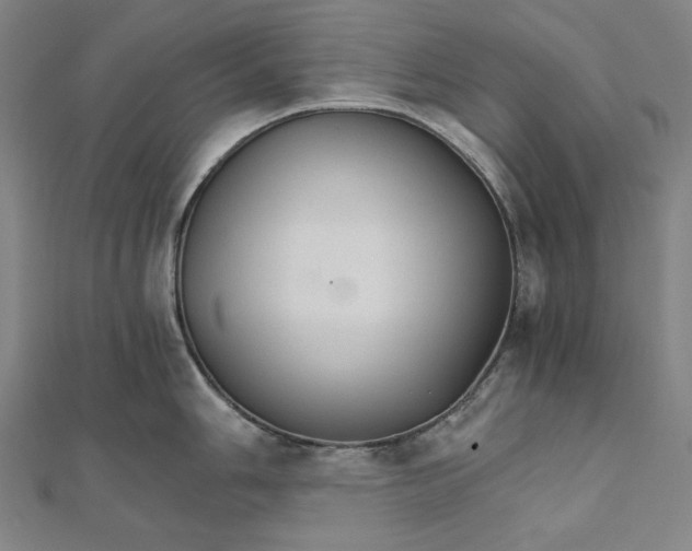 X0000111511006200908041219