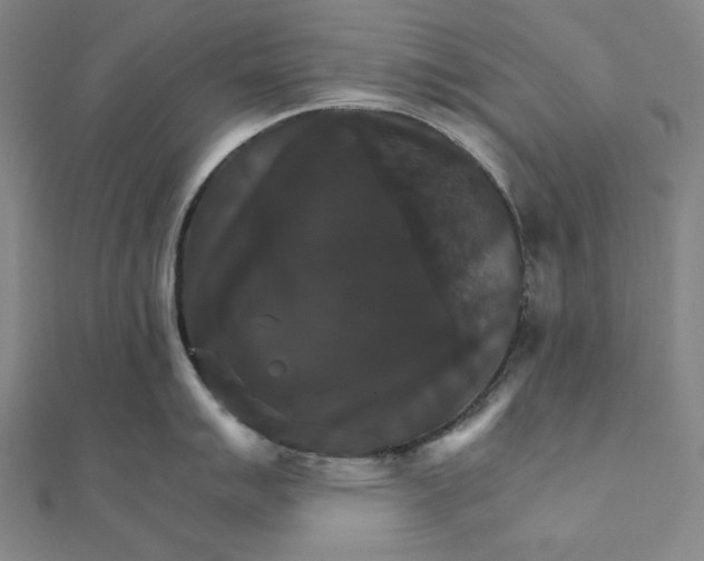 X0000111511007200908041219