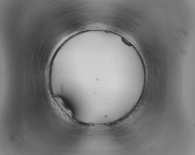 X0000111511008200908041219