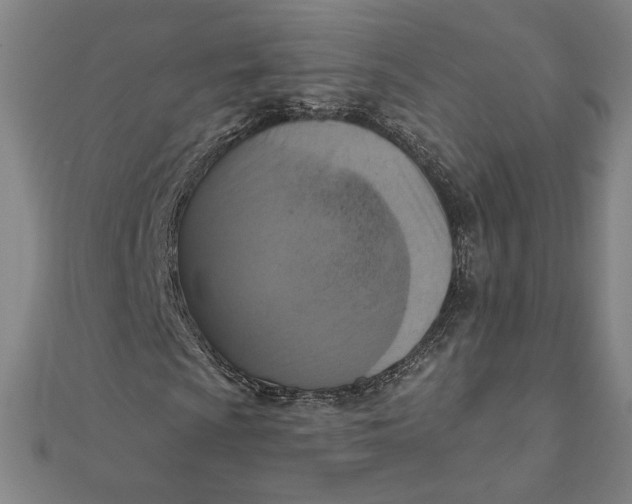 X0000111511009200908041218