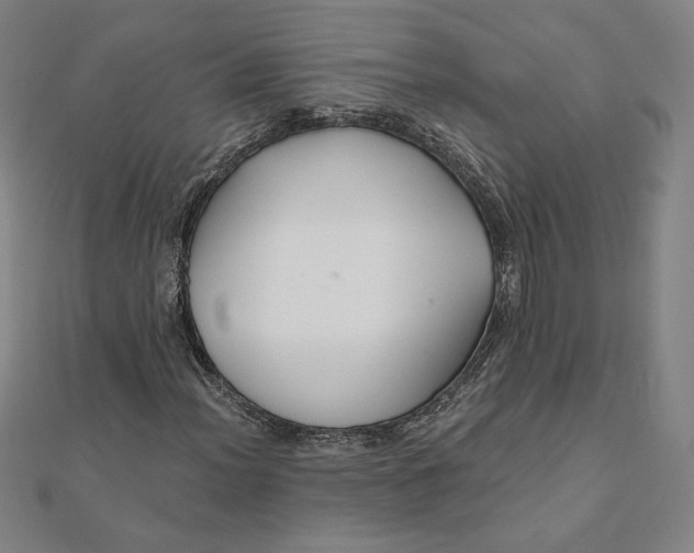 X0000111511012200908041218