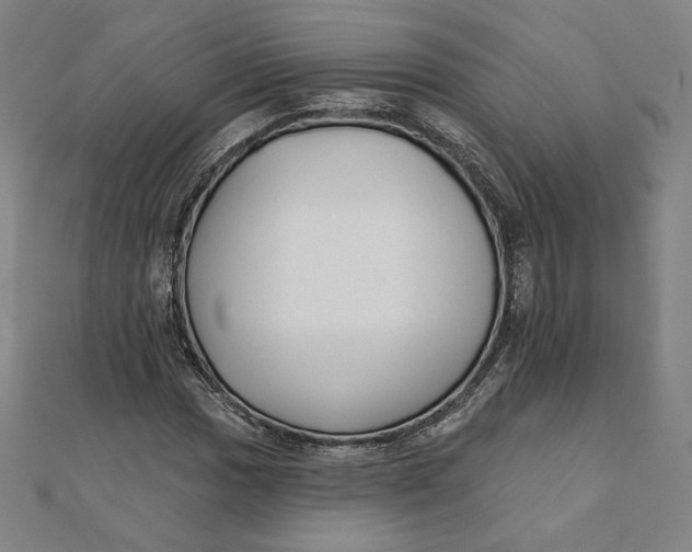 X0000111511017200908041218