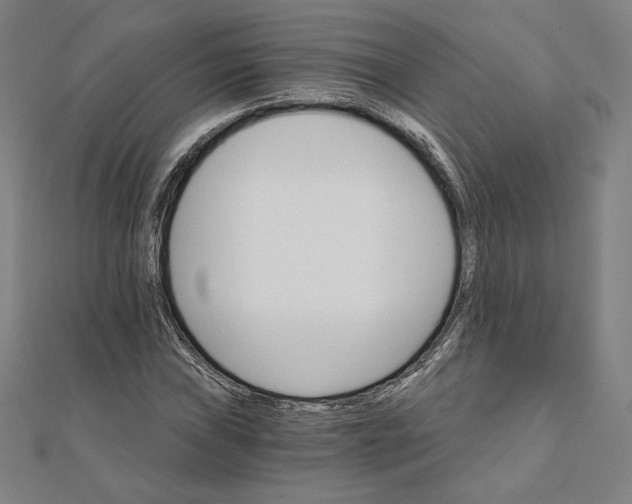 X0000111511019200908041218