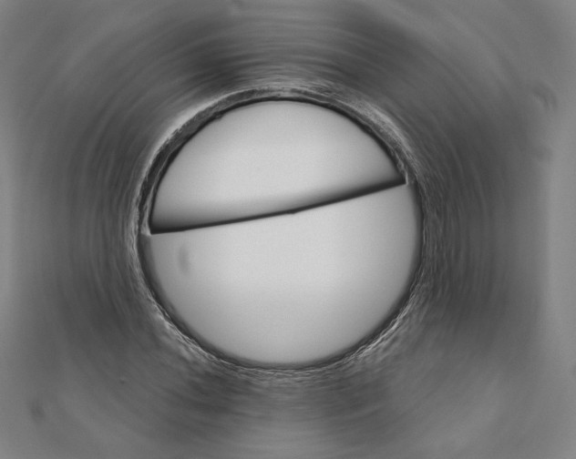 X0000111511020200908041218