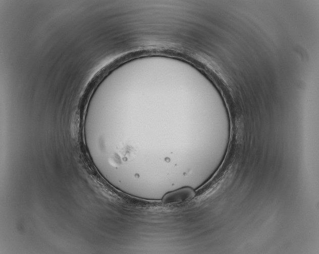 X0000111511021200908041218