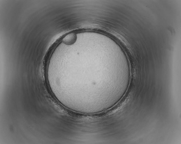 X0000111511022200908041218