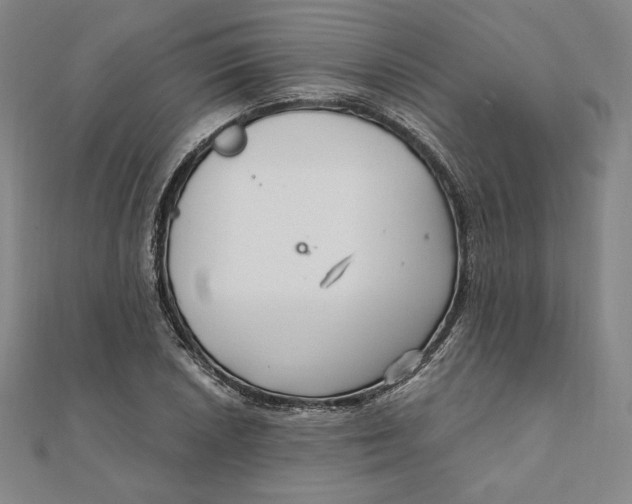 X0000111511026200908041218