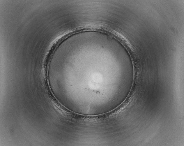 X0000111511027200908041218