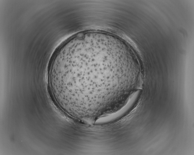 X0000111511028200908041218