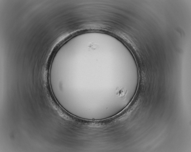 X0000111511029200908041218