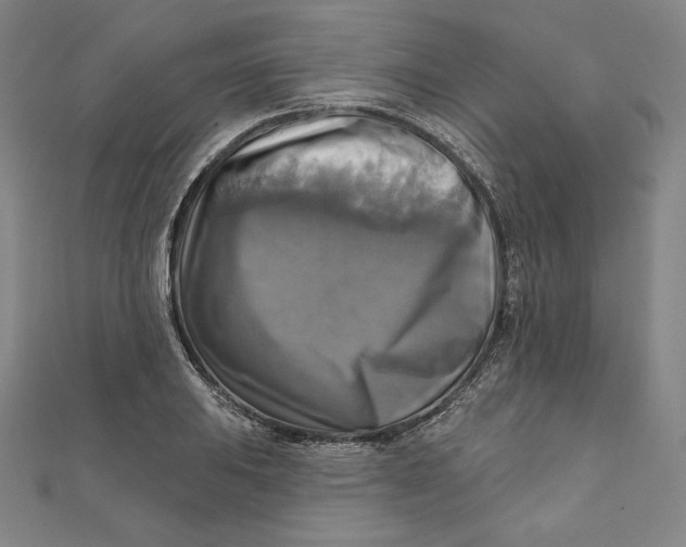 X0000111511031200908041218