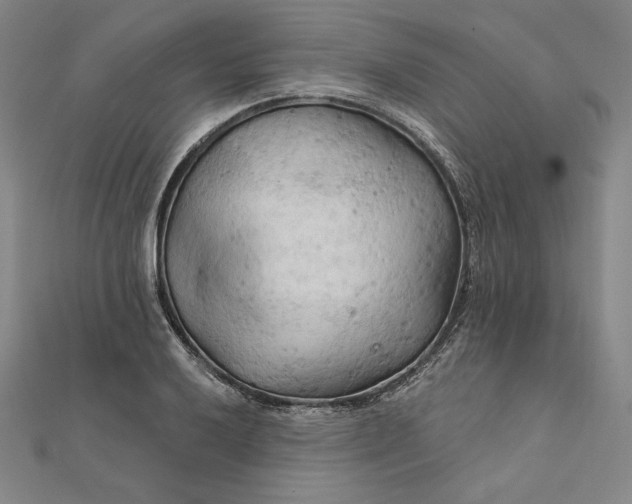 X0000111511032200908041218