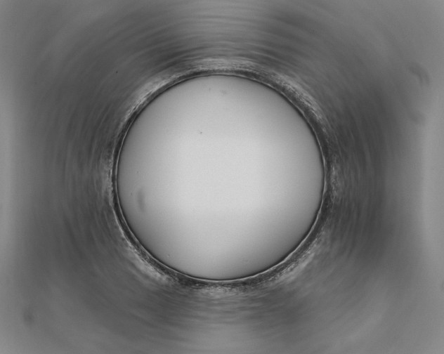 X0000111511033200908041218