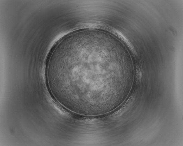 X0000111511035200908041218