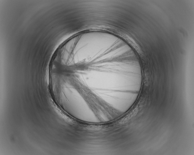 X0000111511036200908041218