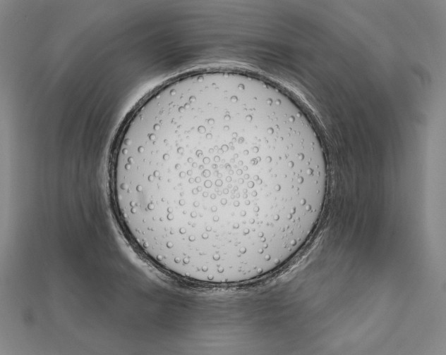 X0000111511038200908041218