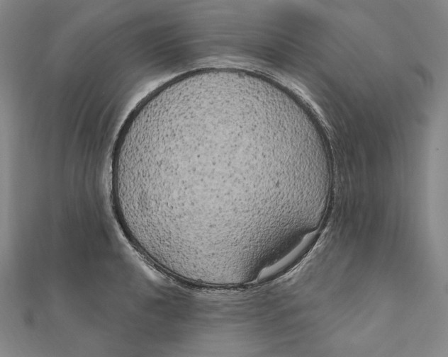 X0000111511040200908041218