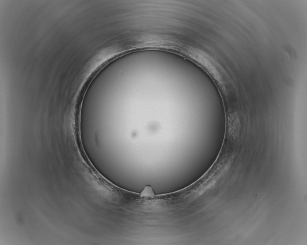 X0000111511043200908041218