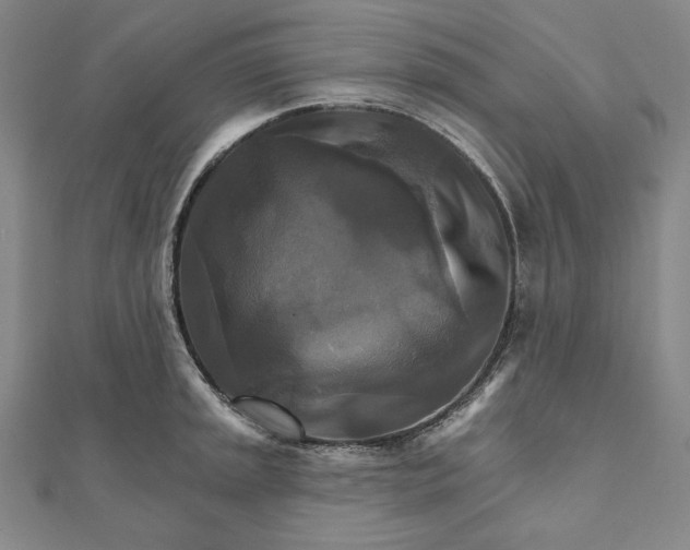 X0000111511045200908041218