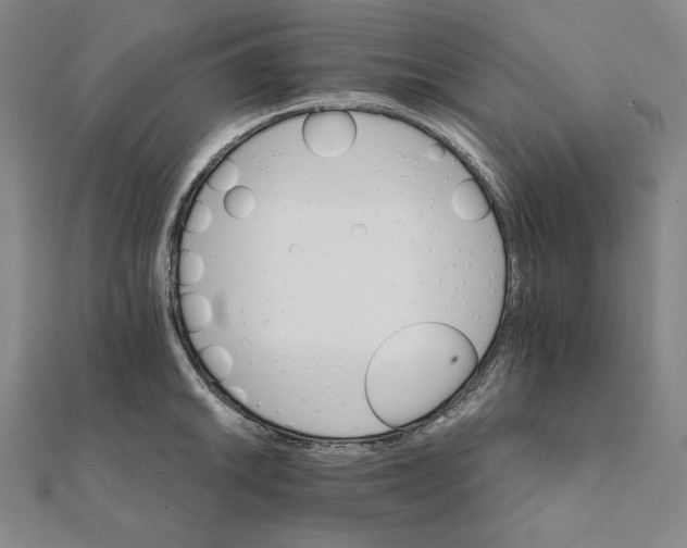 X0000111511046200908041218