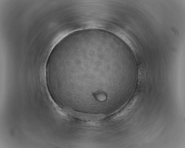 X0000111511047200908041218