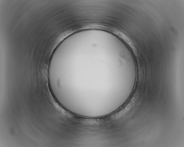 X0000111511049200908041218