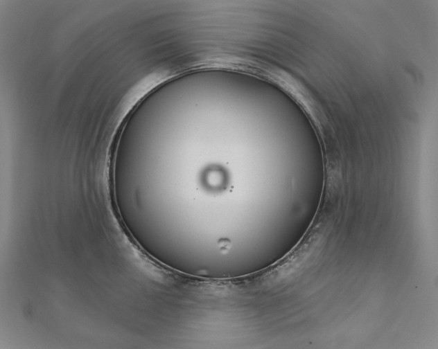 X0000111511050200908041218