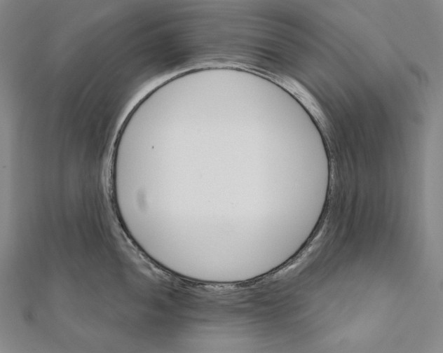 X0000111511052200908041218