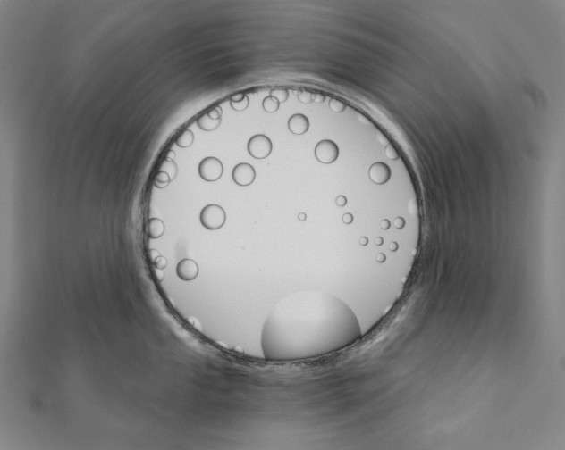 X0000111511053200908041218