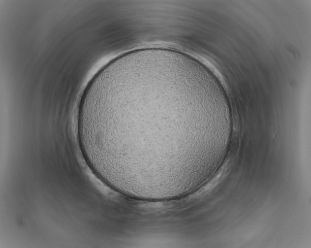 X0000111511054200908041218