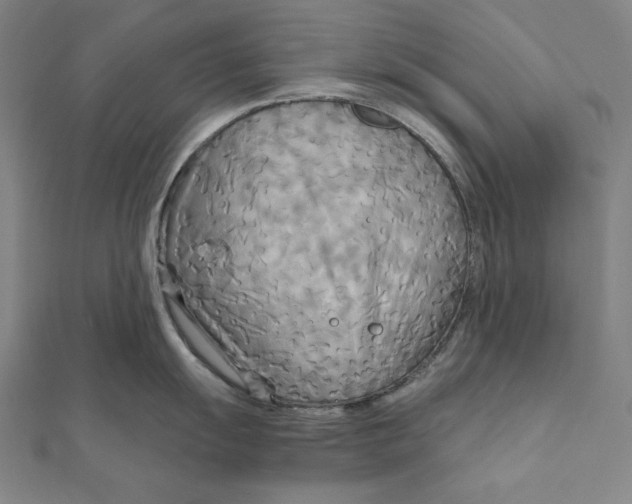 X0000111511055200908041218