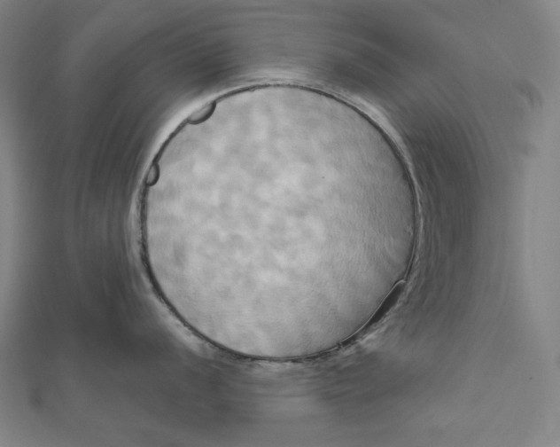 X0000111511056200908041219