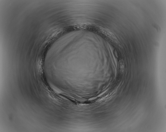 X0000111511060200908041218