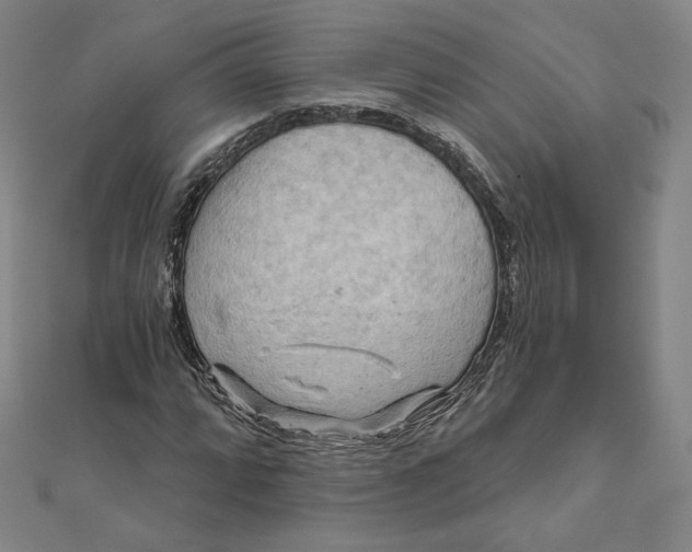 X0000111511064200908041218