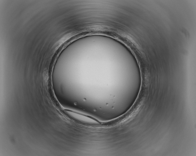 X0000111511065200908041218