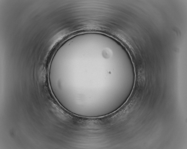 X0000111511067200908041218