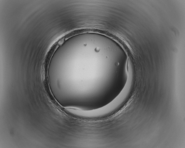 X0000111511069200908041218